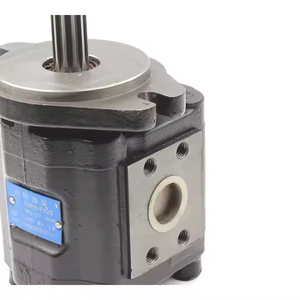 Pompe à engrenages hydraulique CBHS-F425 25 cc/rev 40 cc/rev | Fabricant, approvisionnement d'usine et distribution mondiale - Product Image 5