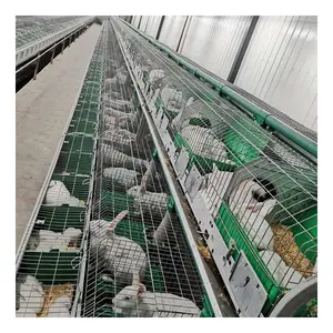 Chine Cages d'approvisionnement d'usine lapin pratique nettoyage des excréments Cage à lapin de style européen