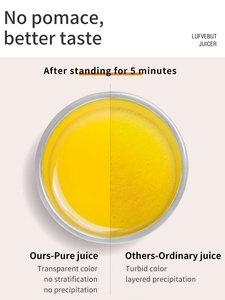 OEM ODM Power Juicer Horizontal Cold Press Wheatgrass Juicer Fruit Vegetable - Product Image 5