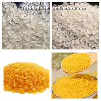 Ligne de production de riz nutritionnel de grande capacité Machine de fabrication de riz enrichi par une extrudeuse de riz artificiel