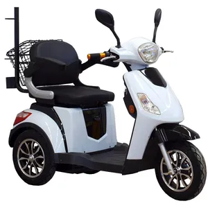 Hot Sale E Mobility Scooter for Elderly or Handicapped People