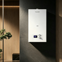 Chaudière murale à gaz combinée à faible teneur en NOx 20KW-40KW, anti-gel, pour chauffage domestique et eau chaude, double usage, vente en gros, usine OEM
