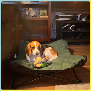 Cama plegable para perros Pop, sala de estar, cuna elevada para mascotas, almohadilla de felpa extraíble transpirable para exteriores, bolsa de transporte, cama elevada para acampar para perros - Product Image 2