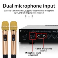 Amplificateur de puissance extérieur Zhengyin AV-369BT 5.1 canaux avec subwoofer, radio BT, haute puissance pour home cinéma et scène - Vente en gros