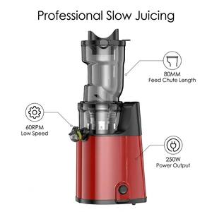 Extracteur de <span class=keywords><strong>jus</strong></span> à froid électrique personnalisé 250W pour fruits et légumes, presse-agrumes lent à froid pour fruits rouges - Product Image 3