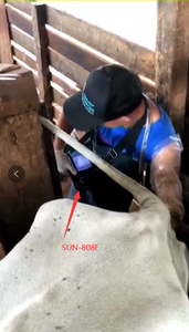 Sun-807F 2D Full Unique Hot Selling Ultrasound <strong>Machine</strong> Used for Animal Pregnancy <strong>Scanning</strong> - Product Image 3