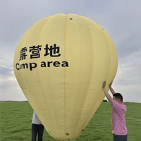Dessin animé pour la décoration d'événement, ballon à air chaud gonflable, la fête gonflable