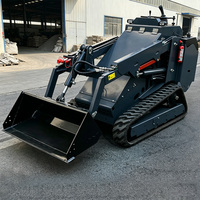 Loader Skid Steer Kompak Grosir Mini EPA CE Euro 5 Mesin Diesel Crawler Loader untuk Pekerjaan Kebun dan Pertanian Ukuran Kecil