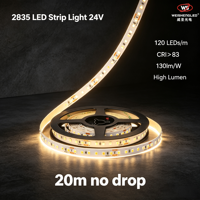 Lampu Strip LED 2835 120leds/m DC24V  Lumen Tinggi Lampu Pita LED Fleksibel 20m Tanpa Kedip Arus Konstan