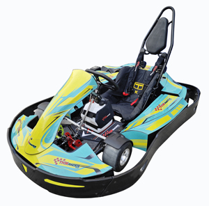 Karting de course F1 homologué CE, 200cc électrique, 4 temps, moteur 500cc, pédales <span class=keywords><strong>12V</strong></span>, karting de différentes tailles, 196cc, 270cc, 168cc - Product Image 2