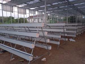 Système hydroponique professionnel NFT en forme de A, canal en PVC de qualité alimentaire, culture avec pompe, fabricant - Product Image 5