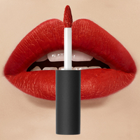Mini gloss à lèvres brillant, marque privée, ensemble de tubes personnalisés, brillant à lèvres végétalien