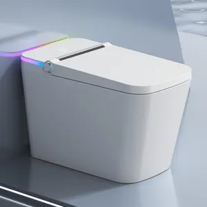 Vente en gros WC intelligent haut de gamme automatique salle de bain sanitaire WC WC électrique carré en céramique avec bidet