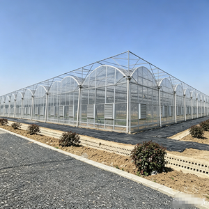 Serra Commerciale Grande Multi-Span a Singola Trave, Set Completo per Agricoltura Commerciale, di Grande Successo - Product Image 2
