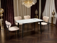 Meubles de maison modernes, table à manger, chaise, ensemble de table à manger pour restaurant, cuisine, chaise de salle à manger pour salon