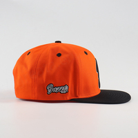 Nuevo Diseño Personalizado de Gorra Snapback de 6 Paneles en Dos Tonos con Logotipo Bordado en 3D en Ambos Lados, Estilo Deportivo, Hojas Tropicales, para Exteriores