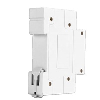 2024 Nouveau Design Smart 4G 2 Pôles 63A MCB Disjoncteur Télécommande Miniature Disjoncteurs pour Smart House Utilisation LI