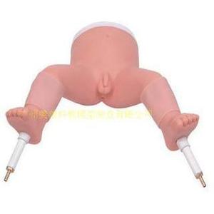 Modèle d'aspiration de la moelle osseuse infantile, modèle d'entraînement à l'aspiration de la moelle osseuse infantile, modèle d'entraînement à l'aspiration tibiale infantile - Product Image 2