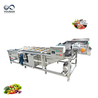 YOUBAN Automatische 304 RVS Belletjeswasmachine Industriële Groente- en Fruitwasser voor Voedselverwerkingslijn
