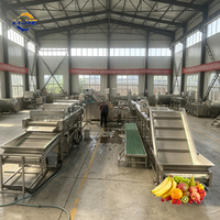 Continue transportband fruitbellenwasmachine, eenvoudige bediening, sinaasappelreinigingsapparatuur voor middelgrote fruitverwerkingsbedrijven
