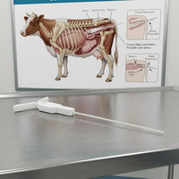 Moniteur de température vaginal intelligent CIDR pour la détection précoce des inflammations post-partum – Instrument vétérinaire pour l'élevage laitier