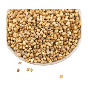 Graines de <span class=keywords><strong>coriandre</strong></span> entières naturelles de qualité supérieure, granulés séchés AD, graines de <span class=keywords><strong>coriandre</strong></span> 25 kg, épices pour la fabrication alimentaire - Product Image 3