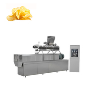 Volledig automatische productielijn voor gefrituurde aardappelchips/Frietproductiemachine/Verwerking van diepvriesfriet