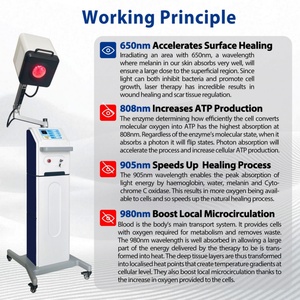 Máquina de Terapia Láser de Alta Intensidad para Diabéticos, Clase 4, para Pie y Muñeca, 650nm 808 905 nm, Terapia MLS Bio para Osteoartritis - Product Image 2