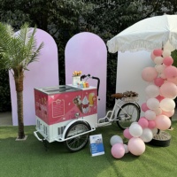 Gerobak Pendingin Bergerak Seri Pink Berbahan Aluminium untuk Penjualan Es Krim, Makanan Ringan, dan Operasi Makanan Cepat Saji Bergerak