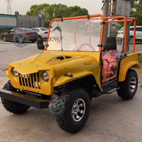 Vente en gros de mini-jeeps à essence 250cc, 350cc, 200cc, 300cc, 4x4, 4WD, mini-jeeps électriques pour adultes, buggy de plage, mini-jeeps tout-terrain
