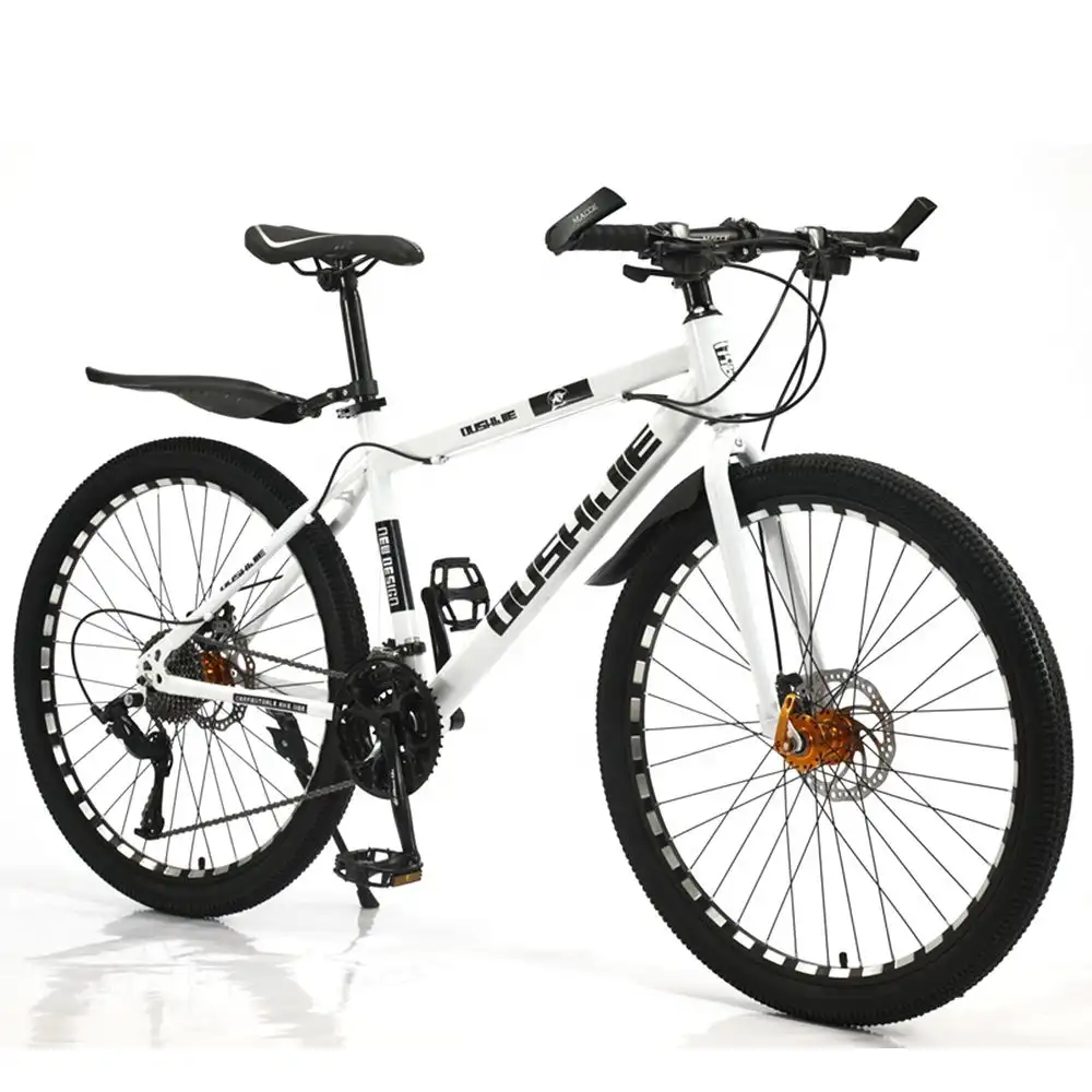 ฟิลิปปินส์จักรยานเสือภูเขาดิสก์คู่สำหรับผู้หญิง,จักรยานเสือภูเขาขนาด24นิ้วสำหรับขี่จักรยานกลางแจ้งราคาถูกจักรยานเสือภูเขา