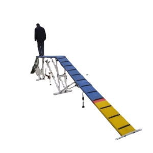 Profession elle 12FT Outdoor <span class=keywords><strong>Dog</strong></span> Walk Long-Ramp Log Bridge für <span class=keywords><strong>Agility</strong></span> Training Wasserdichte Funktion für Hunde wettbewerbe Parks Shows - Product Image 2