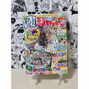 Carte promotionnelle Tony Tony Chopper de la collection d'hiver Bentame JUMP 2024, série de cartes à collectionner P-065 - Product Image 3