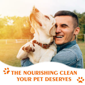 Touchpaw Champú calmante de avena para perros 600ml Cachorro natural Cuidado de mascotas Tratamiento antipicazón DE LA PIEL Champú Vegano para perros Gato - Product Image 6