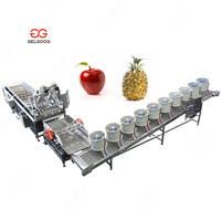 Industriële Vruchten Schoonmaken Verwerking Bosbes Aardbei Ananas Wasmachine Fruit Wasmachine Prijs