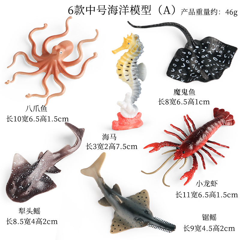 ZZ Medio Océano 6 Set A