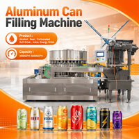 Ligne de production automatique de canettes de jus de fruits, de boissons gazeuses et de bière en aluminium, machine de remplissage et de scellage