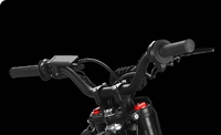 Moto tout-terrain électrique EM5 Pro 5600W 52MPH 60 miles d'autonomie 60V 27Ah Pneus 17''14'' Double suspension Freins hydrauliques IPX6