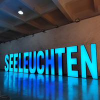 Enseignes publicitaires extérieures pour façades de magasins, enseignes commerciales 3D RGB, logo de magasin, lettres en acrylique, enseignes électroniques lumineuses à LED