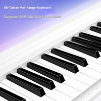 TERENCE V10 Foldable Piano 88 Key Weighted Digital Piano Electric Keyboard Musical Instrument for Home Use