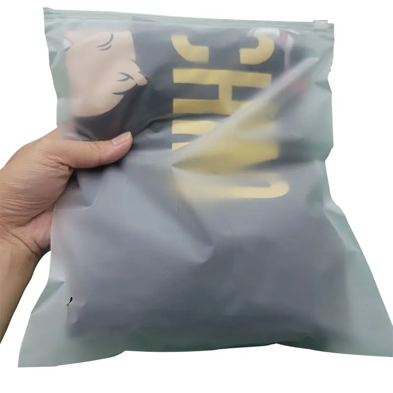 Kunststoff Slider Kleidung Verpackung Druck verschluss Taschen Reiß verschluss PE Großhandel Custom Logo Matte Frosted Wasserdichte Kleidung Verpackung Zip Lock