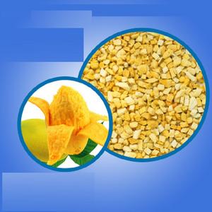 FYFD004F Dés de mangue surgelés de haute qualité 5*5*5mm - Product Image 6