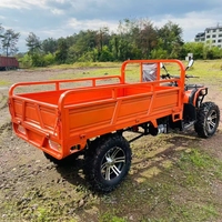 Conception de godet basculant Camions à benne basculante Camions cargo Véhicule pick-up à quatre roues adulte Véhicule à carburant domestique Camion agricole