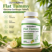 Comprimés de Garcinia Cambogia à succès – Complément alimentaire pour la gestion du poids, soutien métabolique, contrôle de l'appétit