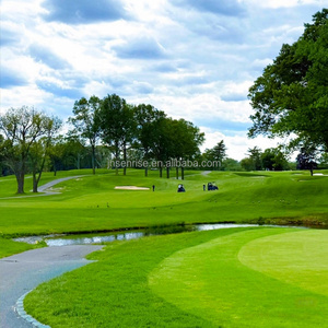 Césped Artificial de 20mm/30mm para Golf, Alfombra de Césped Artificial Impermeable para Cancha de Pádel, para Jardín, Fútbol Interior, Golf <span class=keywords><strong>y</strong></span> Tenis - Product Image 1