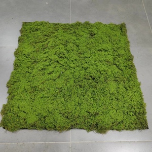 1M * 1M lumut hijau buatan rumput lumut plastik karpet lumut tanaman realistis lumut dinding untuk dekorasi - Product Image 5