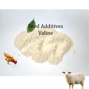 Añadir Valine a la dieta de los lechones promueve un mejor desarrollo <span class=keywords><strong>intestinal</strong></span>, una mayor absorción y una transición más suave. - Product Image 2