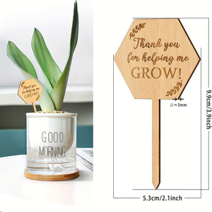 Pianta in Vaso per Crescita Verde, con Cartoncino Decorativo, Ideale come Regalo Creativo di Compleanno per Esterni - Product Image 4