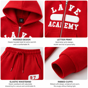 Conjuntos de Ropa para Niños con Logotipo Personalizado al por Mayor, Sudadera con Capucha de Algodón con Estampado Puff, Pantalones Deportivos y Sudadera con Capucha Vintage, Chándal para Niños - Product Image 3