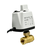 Vanne à boisseau sphérique électrique en laiton 1/2'' 3/4'' 1'' 220V/12V/24V, à deux fils, normalement fermée/ouverte, motorisée, avec interrupteur manuel, pour eau, OEM
